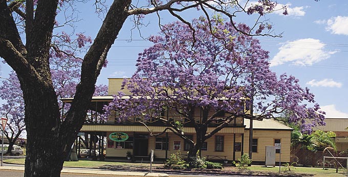Grafton, Northern Rivers - country town flowers