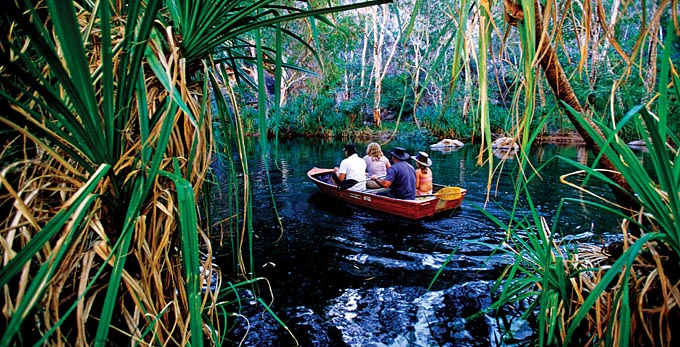 Cape Crawford, Katherine and Surrounds - river/creek rainforest boating