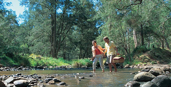 Brisbane - river/creek forest