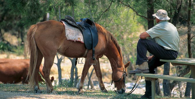 Esk, Brisbane - rural horse riding