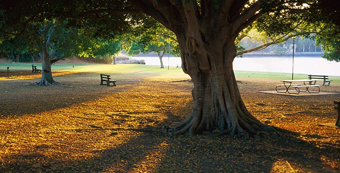 New Farm, Brisbane - sunrise/sunset parks river/creek