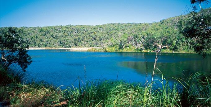 North Stradbroke, Brisbane - landscape islands lake forest