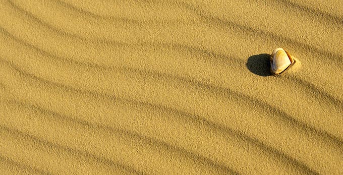 North Stradbroke, Brisbane - beach islands