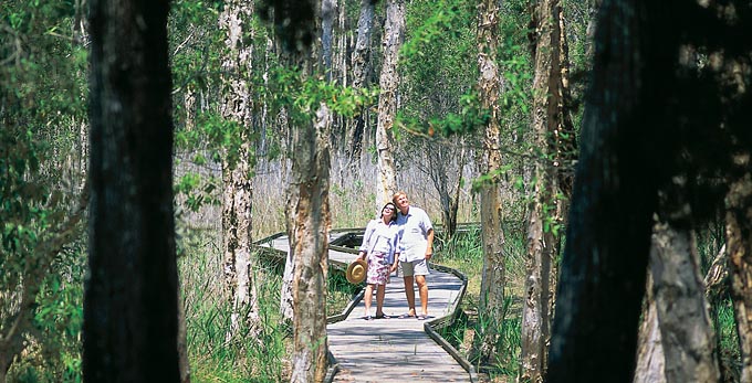 Bundaberg Coral Isles and Country - coastal forest bushwalking