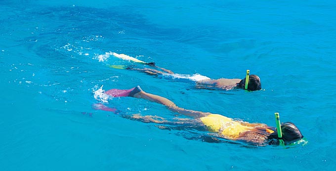 Lady Musgrave Island, Bundaberg Coral Isles and Country - coastal islands reef diving swimming