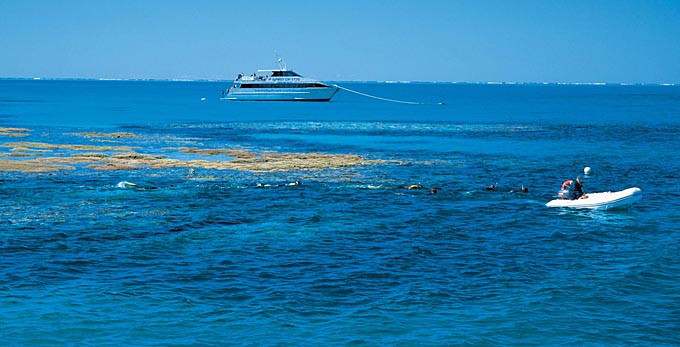 Lady Musgrave Island, Bundaberg Coral Isles and Country - coastal islands reef boating diving swimming