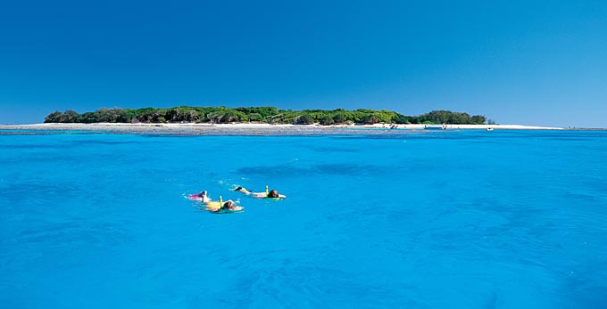 Lady Musgrave Island, Bundaberg Coral Isles and Country - landscape coastal islands reef diving swimming