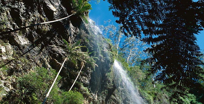 Blackwater, Capricorn - waterfall rainforest