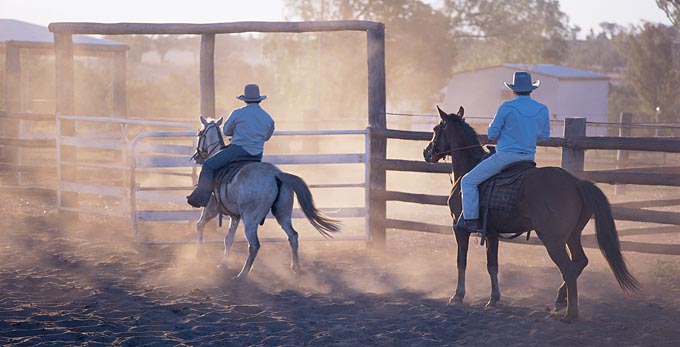 Carnarvon Gorge, Capricorn - rural horse riding