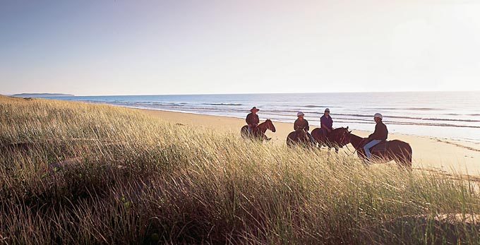 Yeppoon, Capricorn - landscape beach coastal horse riding