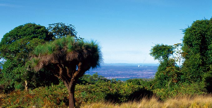 Bunya Mountains, Fraser Coast South Burnett - landscape high country mountains