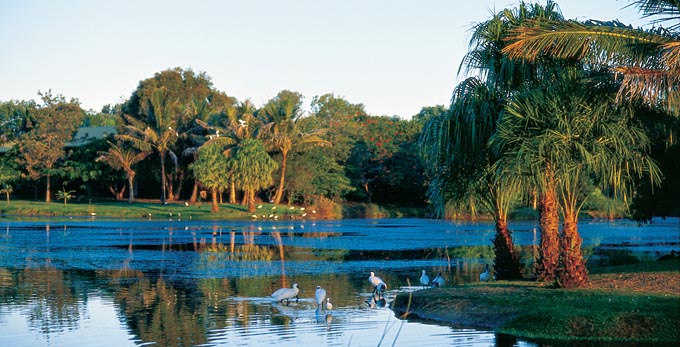 Hervey Bay, Fraser Coast South Burnett - coastal parks lake wetlands bird life