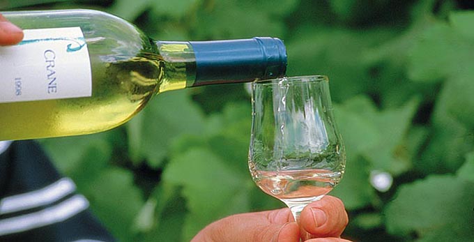 Kingaroy, Fraser Coast South Burnett - rural wineries