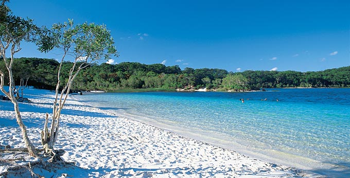 Lake McKenzie, Fraser Coast South Burnett - landscape beach coastal islands lake