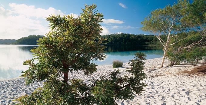 Lake McKenzie, Fraser Coast South Burnett - landscape beach coastal islands lake