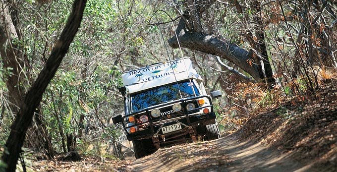 Deepwater National Park, Gladstone - forest 4wd