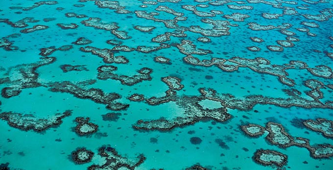 Gladstone - aerial coastal reef