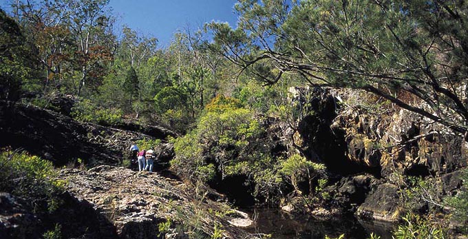 Kroombit Tops, Gladstone - river/creek waterhole forest bushwalking