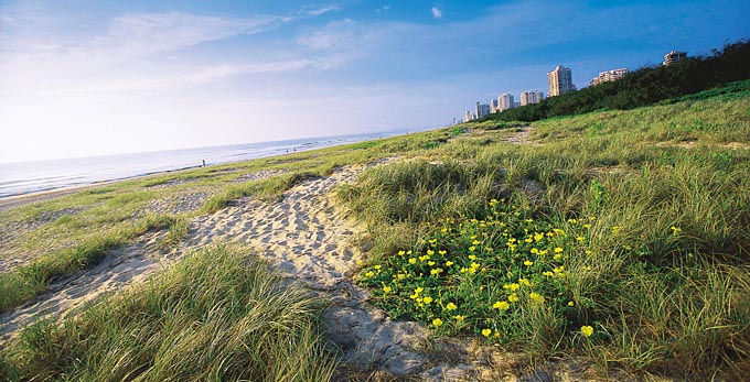 Gold Coast