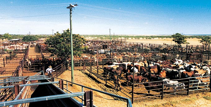 Hughenden, Outback Queensland - outback rural