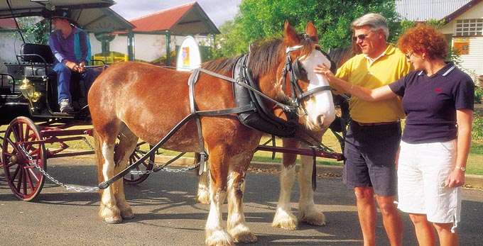 Mitchell, Outback Queensland - country town horse riding
