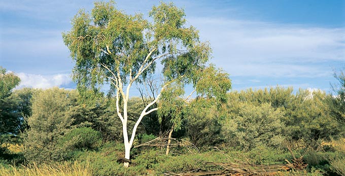 Windorah, Outback Queensland -