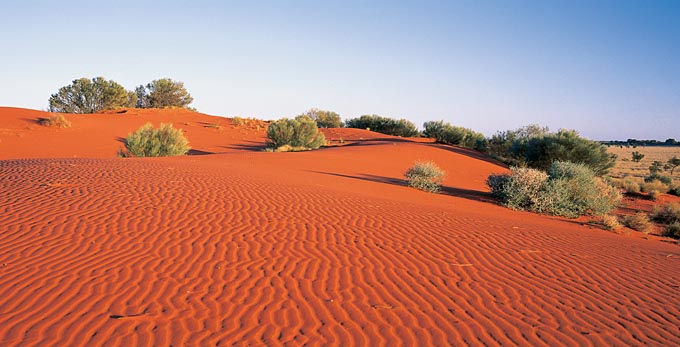 Windorah, Outback Queensland - landscape desert outback