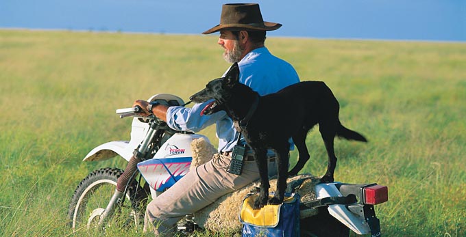 Winton, Outback Queensland - rural other animals