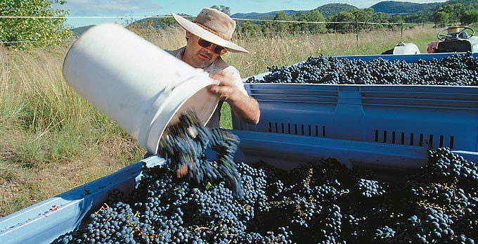 Ballandean, Southern Downs - rural wineries