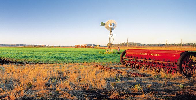 Clifton, Southern Downs - landscape rural windmills