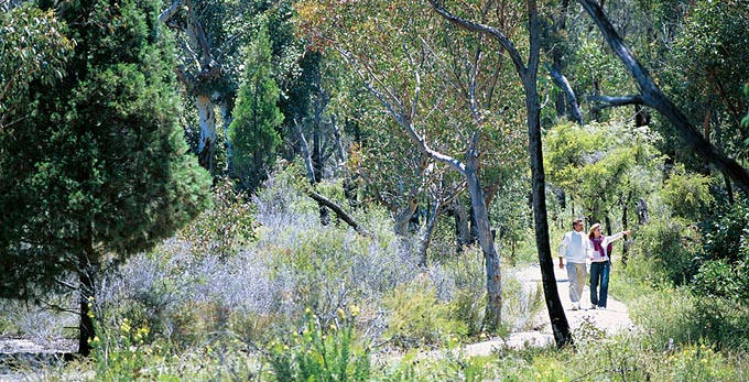 Girraween National Park, Southern Downs - forest bushwalking