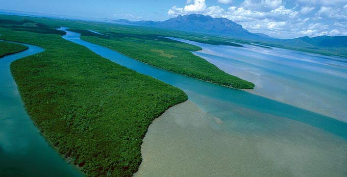 Hinchinbrook Island, Townsville - aerial landscape coastal river/creek