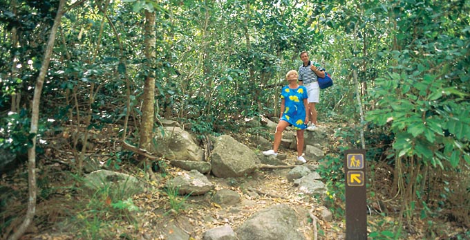 Magnetic Island, Townsville - rainforest bushwalking