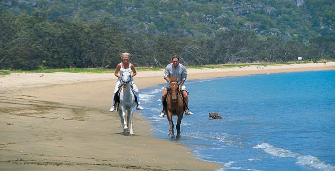 Magnetic Island, Townsville - beach coastal islands horse riding