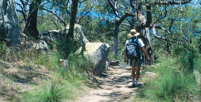 Magnetic Island, Townsville - forest bushwalking