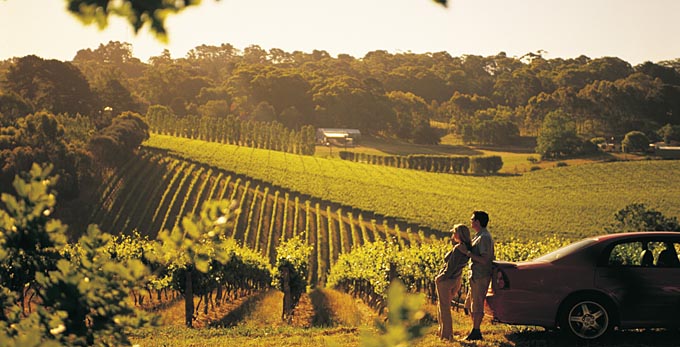 Ashton, Adelaide Hills - landscape sunrise/sunset rural wineries