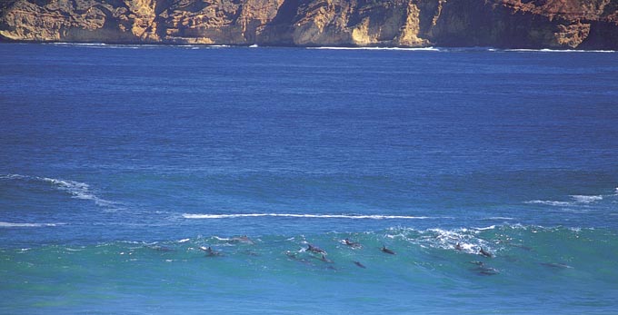Venus Bay, Eyre Peninsula