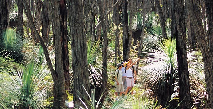 Fleurieu Peninsula - bushwalking