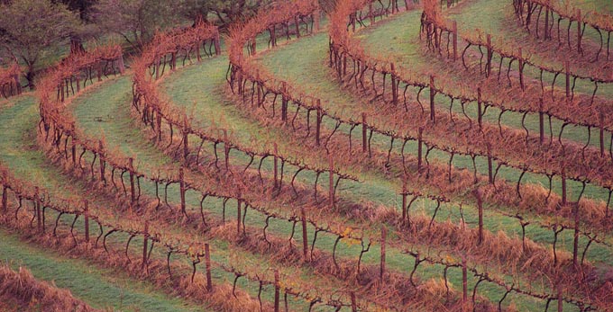 Fleurieu Peninsula - landscape rural wineries