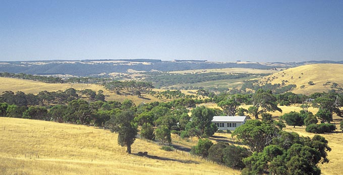 McLaren Vale, Fleurieu Peninsula - gardens rural