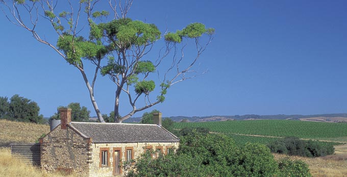 McLaren Vale, Fleurieu Peninsula - rural heritage wineries