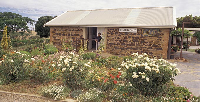 McLaren Vale, Fleurieu Peninsula - rural wineries flowers