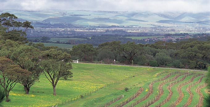 McLaren Vale, Fleurieu Peninsula - rural wineries