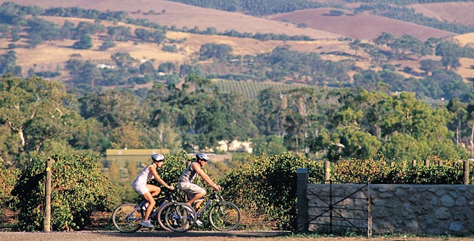 McLaren Vale, Fleurieu Peninsula - cycling wineries