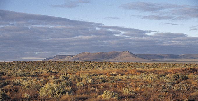 Flinders Ranges and Outback