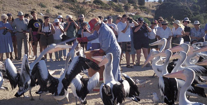 Kangaroo Island