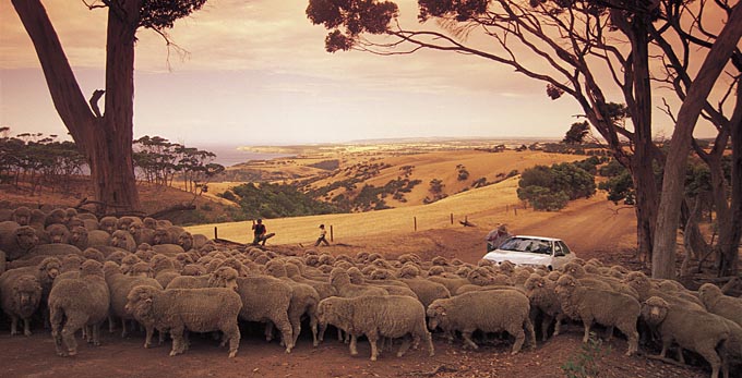 Kangaroo Island