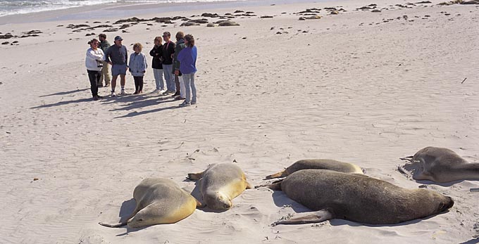 Kangaroo Island