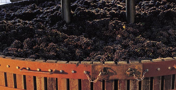 Padthaway, Limestone Coast - wineries