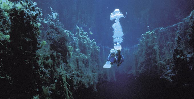 Piccaninnie Ponds, Limestone Coast - diving